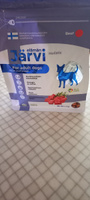 Влажный корм Jarvi мясной паштет с говядиной для собак всех пород, 100 г. упаковка 14 шт #3, марина д.