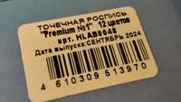 Набор акриловых красок для точечной росписи, 12 цветов #24, Дарья М.