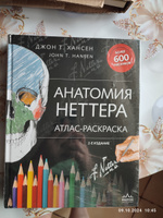 Анатомия Неттера: атлас-раскраска. | Хансен Джон Т. #3, Евгения Т.