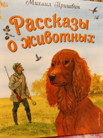 Рассказы о животных (ил. С. Ярового) | Пришвин Михаил Михайлович #8, Оксана У.