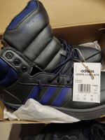 Кеды adidas Sportswear Hoops 3.0 Mid Wtr #40, Олег Б.