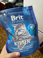 Корм для кошек сухой, BRIT PREMIUM с курицей и лососем для котят "Cat Kitten" 0,4 кг #17, Ольга В.