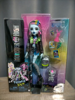 Кукла Монстр Хай Фрэнки Базовая 2024 / Monster high Frankie #20, Дарина Л.