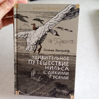 Удивительное путешествие Нильса с дикими гусями #8, Ольга Т.