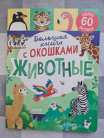 Большая книга с окошками. Животные #4, Архипов Игорь