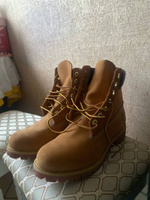 Ботинки Timberland Premium 6 Inch Waterproof Boot #23, Наталия Ч.