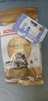 Сухой корм Royal Canin Maine Coon Adult для кошек породы мейн-кун, Курица, 2 кг #19, Марина С.