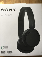 Наушники Sony WH-CH520, черный #31, Александр