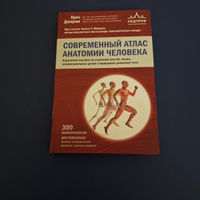 Современный атлас анатомии человека. Карманное пособие по строению костей, мышц, миофасциальных цепей и принципам движения тела | Джарми Крис #3, екатерина п.