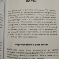 Современный атлас анатомии человека. Карманное пособие по строению костей, мышц, миофасциальных цепей и принципам движения тела | Джарми Крис #5, Анна Л.