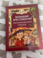 Хрестоматия для начальной школы 1-4 класс. Внеклассное чтение. Сказки для детей, художественная литература, подарок ребенку | Гаршин Всеволод Михайлович, Зощенко Михаил Михайлович #3, Марина Х.