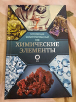 Химические элементы. Популярный иллюстрированный гид | Леенсон Илья Абрамович #6, Язгуль Н.