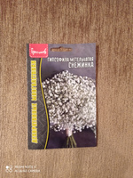 Гипсофила метельчатая Снежинка, 1 пакет, семена 0,05 гр, ЧК #6, Татьяна В.