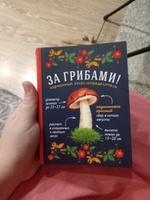 За грибами. Карманный атлас-определитель | Ильина Татьяна Александровна #2, Мария М.