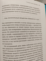 Магия элементов. Секреты таблицы Менделеева, или Как химия меняет нашу жизнь | Рёйне Анья #2, Эндже Г.