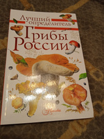 Грибы России. Определитель | Кривошеев Станислав Владимирович #2, Татьяна