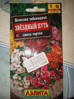 Семена Немезия Звездный Путь, смесь сортов (0,03г) - Аэлита #31, Лилиана Г.