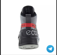 Ботинки ECCO BIOM 2.1 X MOUNTAIN M #4, Владимир С.