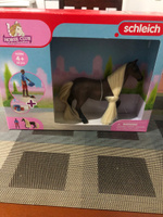 Игровой набор Schleich Лео и Рокки, Шляйх 42586, Horse Club Sofia's Beauties #5, Татьяна Л.