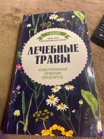 Лечебные травы. Иллюстрированный справочник-определитель | Ильина Татьяна Александровна #1, Полина С.