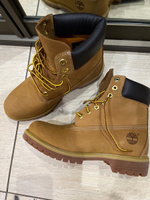 Ботинки Timberland Premium 6 Inch Waterproof Boot #31, Александр Н.