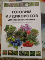 Готовим из дикоросов. Вишневский Михаил. Замятина Наталья. Здоровое питание Готовка Дикоросы книга. | Вишневский Михаил Владимирович #1, Владимир К.