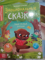 Сказки для детей, "Эмоциональные сказки", Буква-Ленд, книги для детей | Сачкова Евгения Камилевна #6, Михайлова Валентина