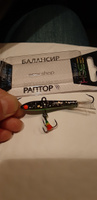 Балансир рыболовный ESOX RAPTOR 70мм, 22гр #34, Владимир