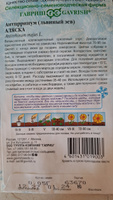 Семена АНТИРРИНУМ (Львиный зев) АЛЯСКА (0,05 грамм) Гавриш - серия Устойчив к заморозкам! #53, Людмила Н.