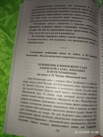 Сочинения по литературе для учащихся 9-11 классов. Образцы, Самоучитель. Материалы для подготовки к сочинению на ЕГЭ | Гринин Л. Е. #1, Александра С.