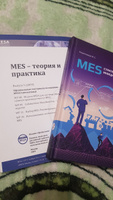 MES. Стратегическая инициатива. Краткое пособие для руководителей | Решетников Игорь Станиславович #1, Дмитрий А.