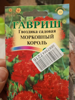 Семена ГВОЗДИКА садовая ГРЕНАДИН МОРКОВНЫЙ КОРОЛЬ (0,05 грамм) Гавриш #14, Ольга