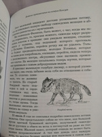 О. Тревор-Бетти. Во льдах и снегах. Дневник путешествия на остров Колгуев #2, Алексей Д.