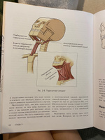 Анатомия голоса. Иллюстрированное руководство для певцов, преподавателей по вокалу и логопедов. Даймон Теодор. #3, Айгюль М.