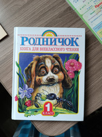 Родничок. Книга для внеклассного чтения в 1 классе | Барто Агния Львовна, Заходер Борис Владимирович #8, Наталья К.