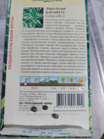 Дерен белый Карантус, 1 пакет, семена 0,1 гр, Гавриш #1, Джалиль А.