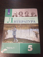 литература 5 класс 1 часть Коровина , Журавлев с 2019-2022г | Коровина Вера Яновна, Журавлев В. П. #4, Анна М.