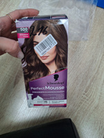 Schwarzkopf Perfect Mousse тон 500, Германия, Краска-мусс для волос, Каштановый #4, Мария Г.