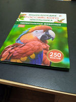 Удивительные животные. 250 фактов. Энциклопедия российского школьника. Для детей 6-10 лет #1, Наталья М.
