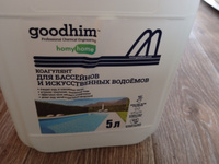 Коагулянт для очистки воды в бассейнах и искусственных водоемах GOODHIM, 5 л #6, Алексей Л.