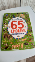 Книжка с окошками виммельбух Животные Умка | Козырь Анна #3, Лидия М.