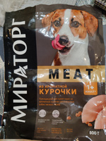 Сухой корм для собак мелких пород Мираторг Meat из курицы, 500 г х 8 шт #34, Юлия С.