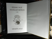 Колдовской ребёнок. Дочь Гумилёва. том 10. Собрание сочинений | Чудинова Елена #3, анатольевна галина