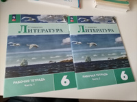 Литература 6 класс. Учебник. Комплект из 2-х частей к новому ФП. УМК "Литература Коровиной В.Я." | Полухина Валентина Павловна, Коровина Вера Яновна #2, Ульяна М.