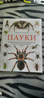 Пауки. Познавательная иллюстрированная энциклопедия для всей семьи | Семенова Людмила Семеновна #3, Надежда С.