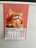 Календарь на магните "Новый 2025 Год", 10х15 см. #57, Екатерина К.