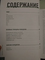 Роскошные хвойные. Виды, посадка, уход | Городец Ольга Владимировна #4, Алексей