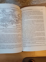 Вспомнить всё. Славяне с берегов Рейна, Маас и Шельды. Семёнова-Роттердам О. | Роттердамский Эразм #1, evgenia k.