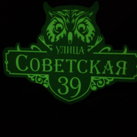 Адресная табличка светонакапливающая на дом 420х310 мм. "Домовой знак Сова", синяя, из алюминиевого композита и светонакапливающей пленки FES , УФ печать не выгорает #63, Ирина А.