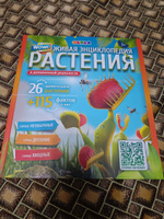 Живая энциклопедия в дополненной реальности: WOW! Растения #1, Андрей Х.